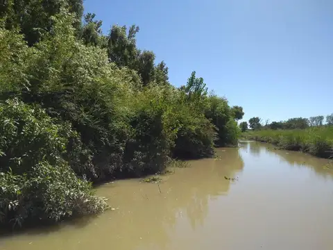 Casa Quinta  en Venta en Parana Miní, Zona Delta, San Fernando