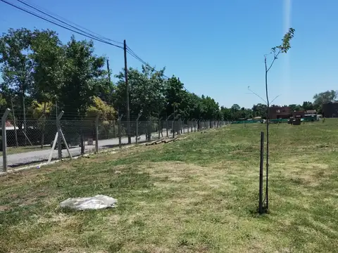 Terreno en Venta de 550,0 m2