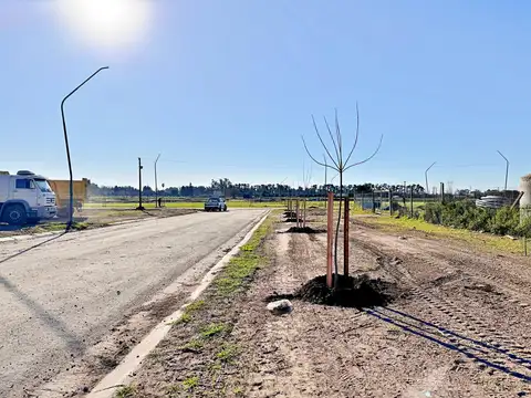 TERRENOS EN VENTA ECOLAGOS ESTE GENERAL LAGOS BARRIO ABIERTOS TODOS LOS SERVICIOS