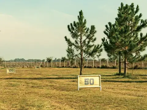 Terreno Lote  en Venta en Club de Campos Las Hojas, Marcos Paz, G.B.A. Zona Oeste