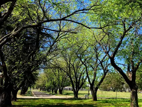 Terreno en Venta en San Nicolas De Los Arroyos, USD 37.000