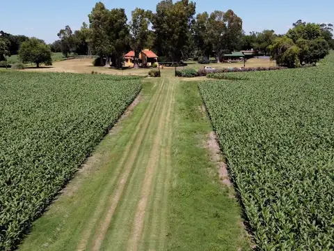 Venta en Carlos Keen 16has Ideal Inversión Turismo