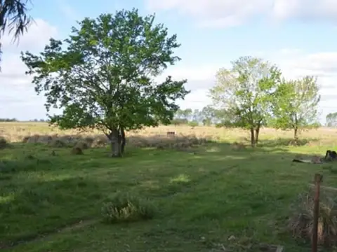 Terreno Campo  en Venta en Zarate Centro, Zárate, G.B.A. Zona Norte