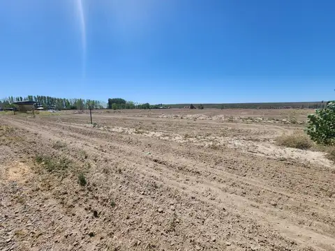 Terreno en Venta en Tupungato, USD 6