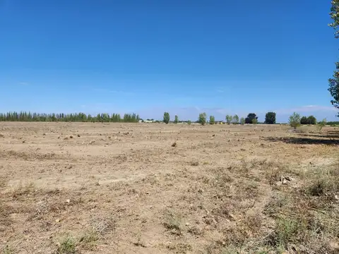 Terreno en Venta 250  mts Fondo