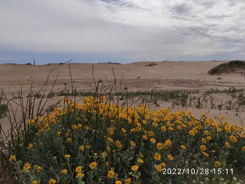 Chacra Frente al Mar en Verdemar (entre Las Toninas y Barrio de Mar) km 314