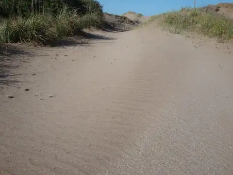 Terreno en Venta de 60000,0 m2