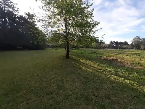 Casa quinta en VENTA |  Av. 149 y 38 La Plata Ideal Inversores