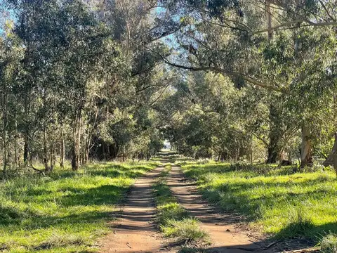 VENTA LOTE PARQUE BRISTOL MIRAMAR