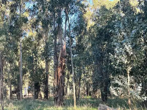 Terreno en Venta de 311,0 m2