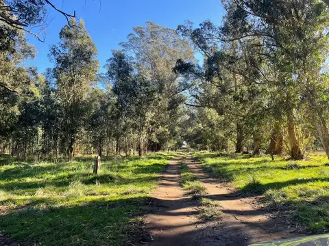 Calle Balcarce S/N y Calle Tucuman