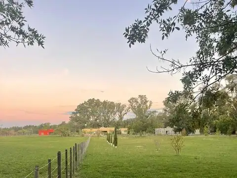 Terreno en Venta de 5001,0 m2