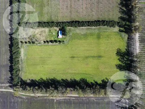 Venta de Chacra en San Pedro - Casa de 100m2 y 5ha de Tierra Productiva - Permuta