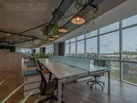 Oficina en Alquiler A Estrenar