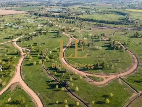 Lote De 1.000 M2 En Venta En Barrio Mirabosques, Los Cardale