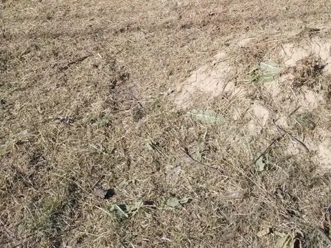 Terreno en Venta 37  mts Fondo