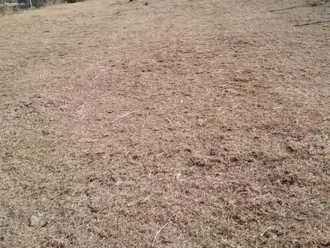 Terreno en Venta 14  mts Frente