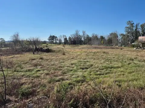 Loteo Delle Vedove  3700