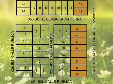 CALLE 351  GENDARMERIA NACIONAL 1200