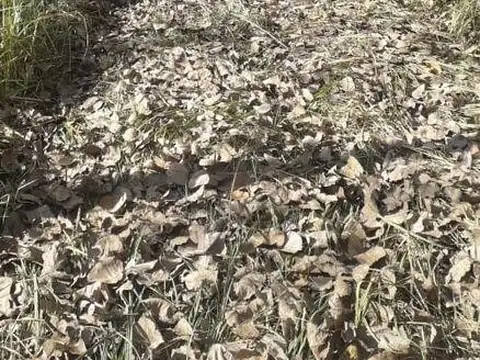 Casa Campo  en Venta en Parana Miní, Zona Delta, San Fernando