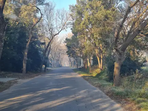 Terrenos y Lotes en Venta en City Bell [Cod: 526]