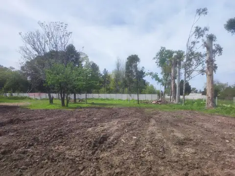 Terreno en Venta 51  mts Fondo