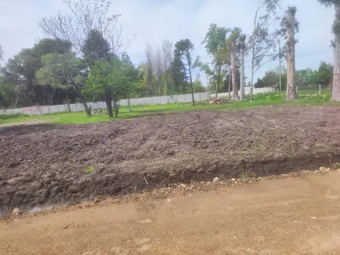 Athos Palma al 2500 - Villa Rosa