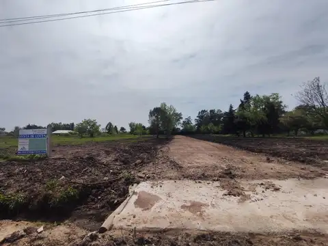 Athos Palma al 2500 - Villa Rosa