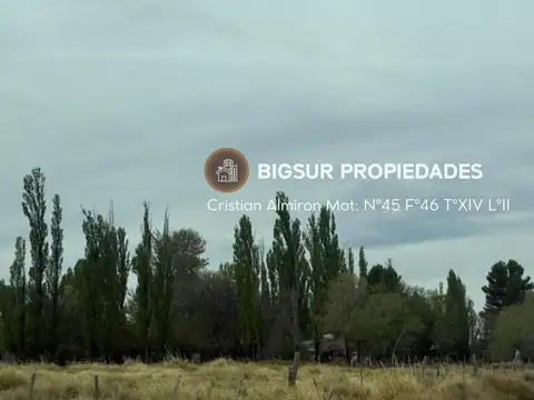 Ministro Ramos Mexia