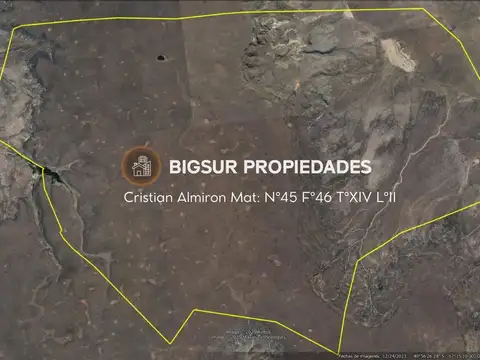 Campo en venta 13736 ha.