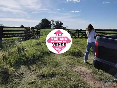 CAMPO EN VENTA - ALSINA - BARADERO