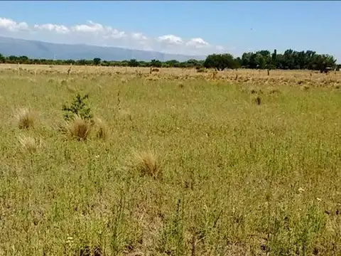 VENTA DE 2 TERRENOS CONTIGUOS EN ESTACION CONLARA MERLO SAN LUIS