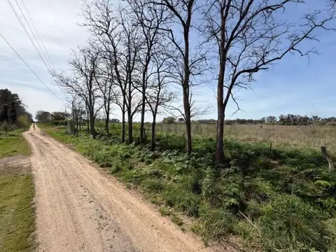 Campo / Hectarea en venta en General Belgrano