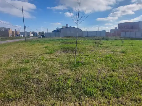 Charcas esq. Guadalupe Cuenca