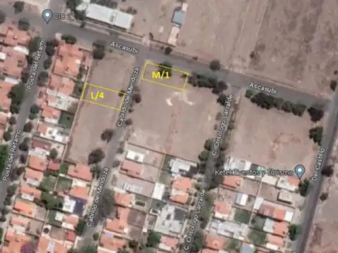 Ascasubi y Cabildo de Mendoza