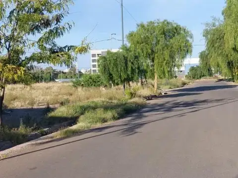 Ascasubi y Cabildo de Mendoza