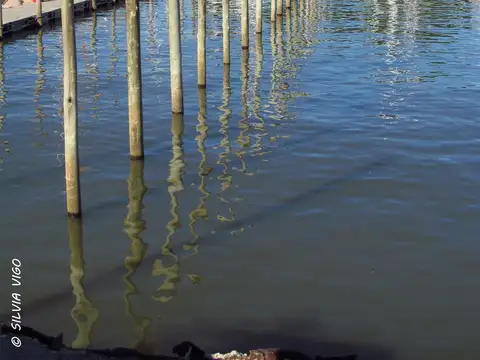 Terreno en Venta 29  mts Fondo