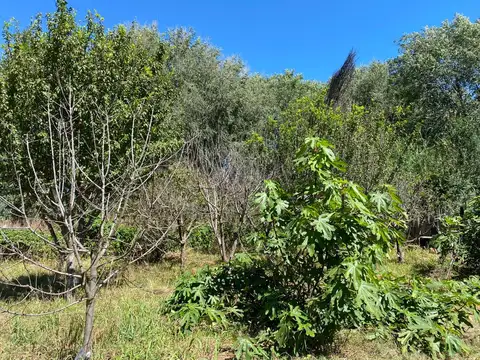 SEXTO LOTEO – Cod 2106