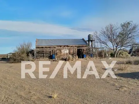 VENTA CHACRA 10 HECTAREAS CON CASA EN SENILLOSA