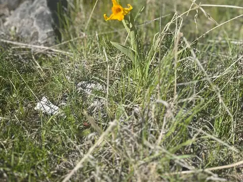 Terreno en Venta en Trevelin, USD 93.000