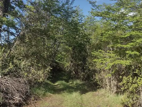 2.4 hectáreas de refugio natural en Trevelin .