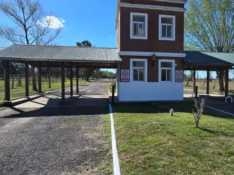 Ruta Nacional N8 Km 84 S/N, Haras La Amanecida