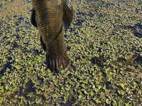 MANZANA E. DELTA DEL BUCARE 100, Piso 0