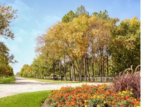 VENTA DE LOTE EN FINCAS JOVEN SAN VICENTE