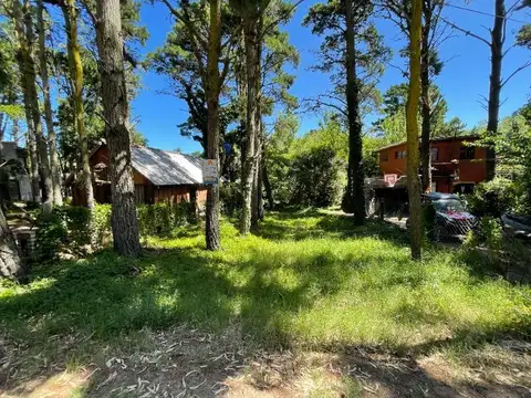 37 e/ Viña del Mar y Punta del Indio