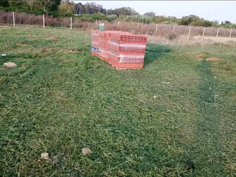 Alberto Camus y Paul Sabatier