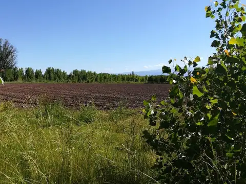 FINCA EN COLONIA LAS ROSAS, TUNUYAN