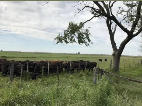 Bernardo de Irigoyen. Santa Fe