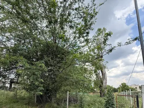 Terreno en Venta 20  mts Frente