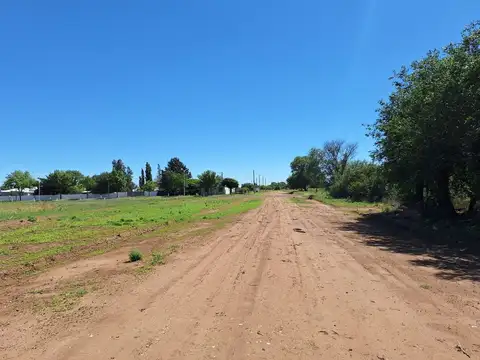 Terreno en Venta de 1242,0 m2